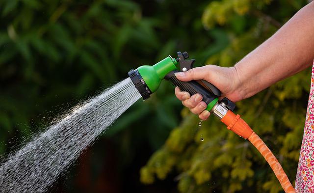 garden-hose-water-spray-watering