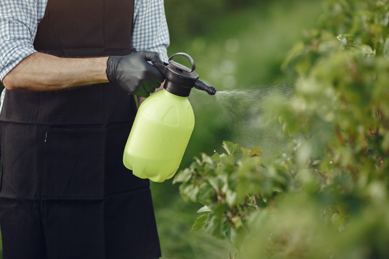 gardening herbicides spray