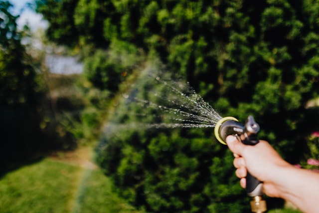 person-holding-a-watering-hose-with-sprinkler